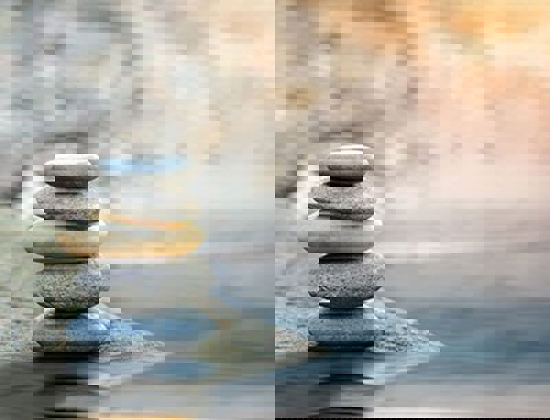 1675 20190918 110238 Dreamstime Xxl 108964850 Mobile