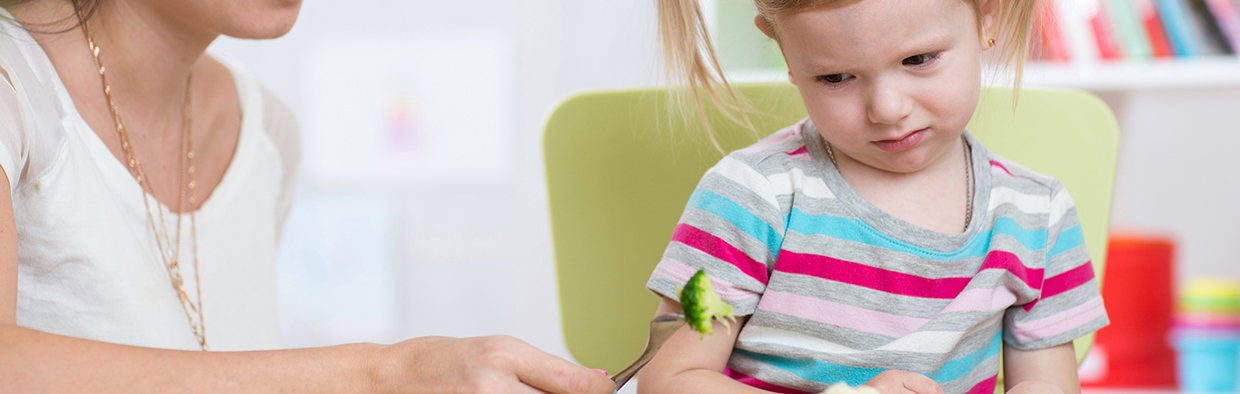 Food Exploration Desktop Image