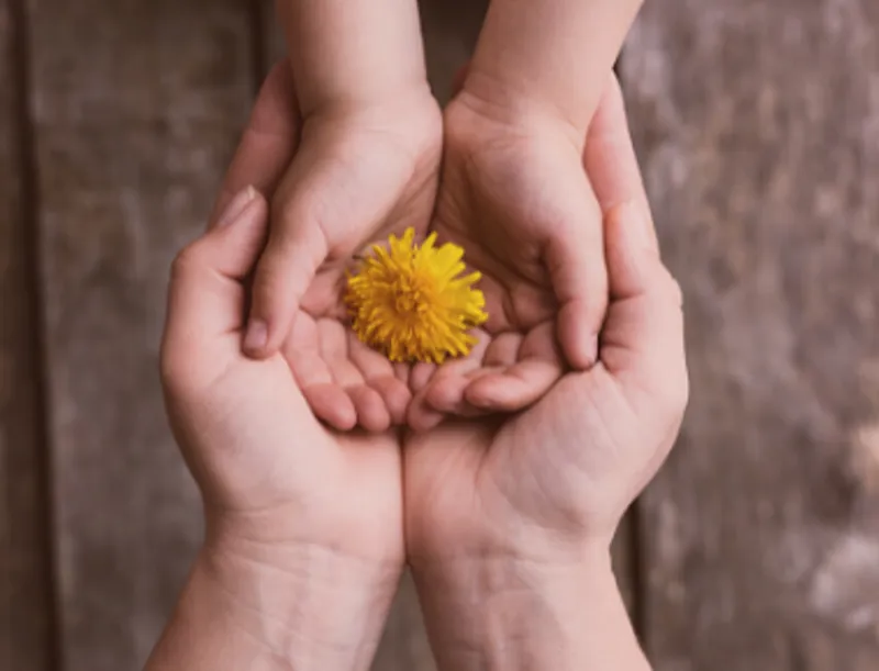 1972 20210909 043618 Blog Healthyattachment Mobile