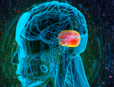 2222 20230928 124649 Pbh Blog Cpr For The Amygdala 380X290