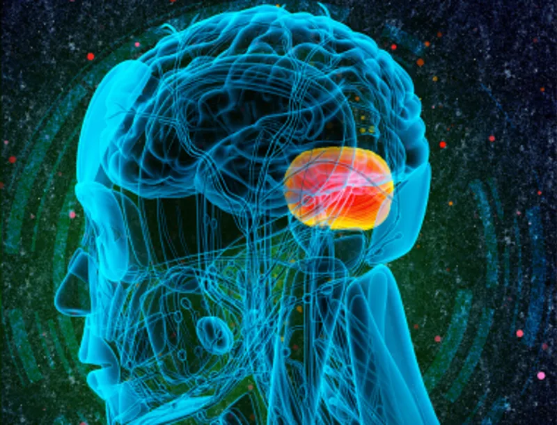 2222 20230928 124649 Pbh Blog Cpr For The Amygdala 380X290