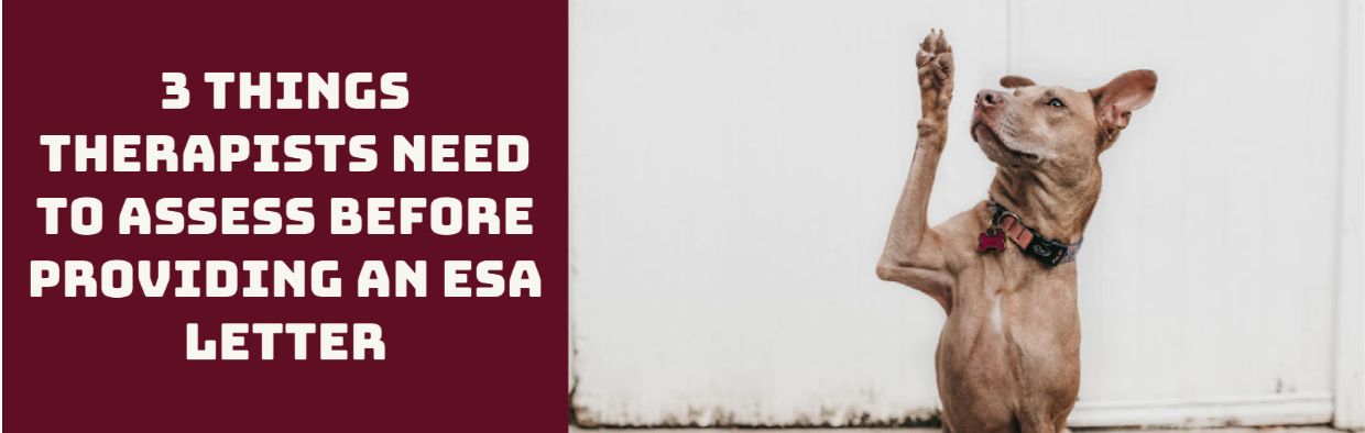 3 Things Therapists Need to Assess Before Providing an ESA Letter Blog