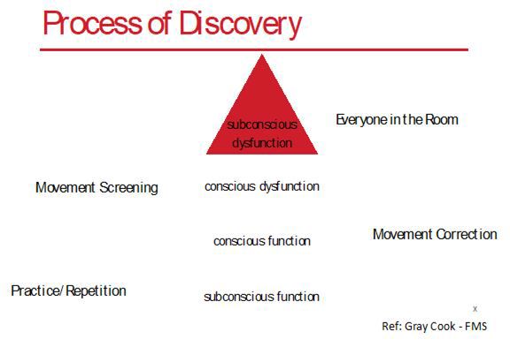 Process of Discovery