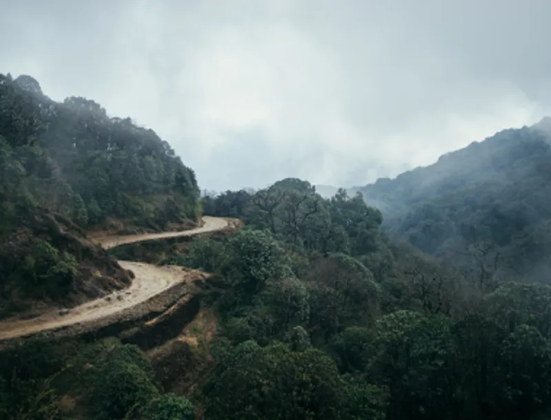 2219 20230912 120012 Pbh Blog Using Metaphors From Nature 380X290