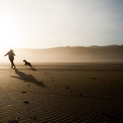 Playing With A Dog On The Beach