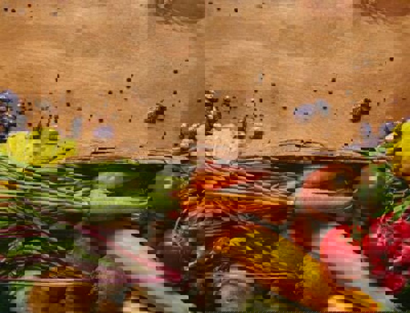 2193 20230515 035619 Rh Blog Utilizing Nutrition As Part Of Patient Care 380X290