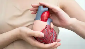 Cardiovascular Disease CVD, Asian Woman With Heart Human Anatomy