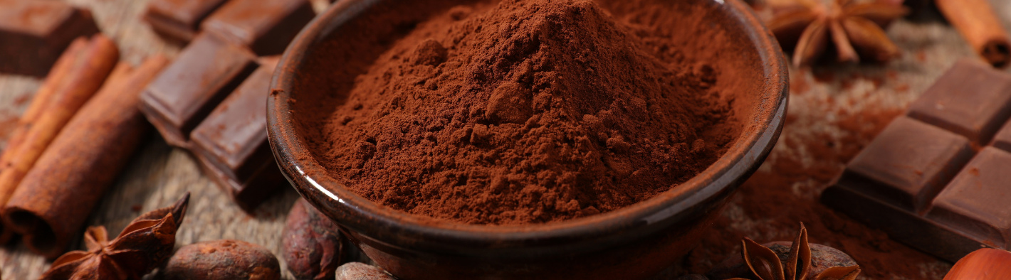 Leslie's Avocado Chocolate Moodshake Recipe