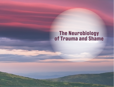 Blog The Neurobiology of Trauma and Shame