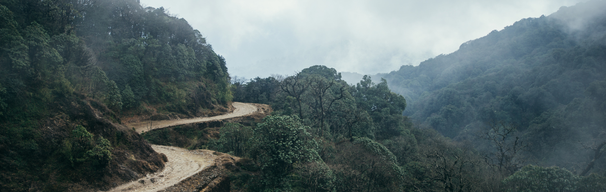 Using Metaphors from Nature in Walk and Talk Therapy