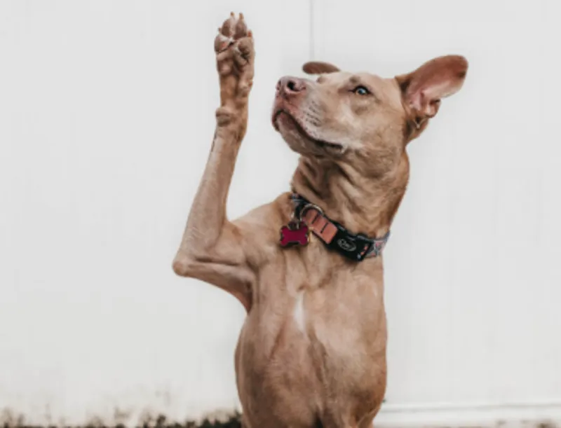 1924 20210525 113606 Blog Esa Mobile