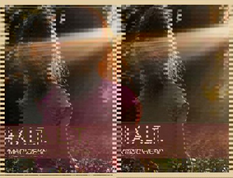 1697 20191210 110218 Halt Blog Mobile 380X290